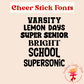 Custom Cheer Spirit Stick, Sports Sign, Game Day Sign- NON GLITTER